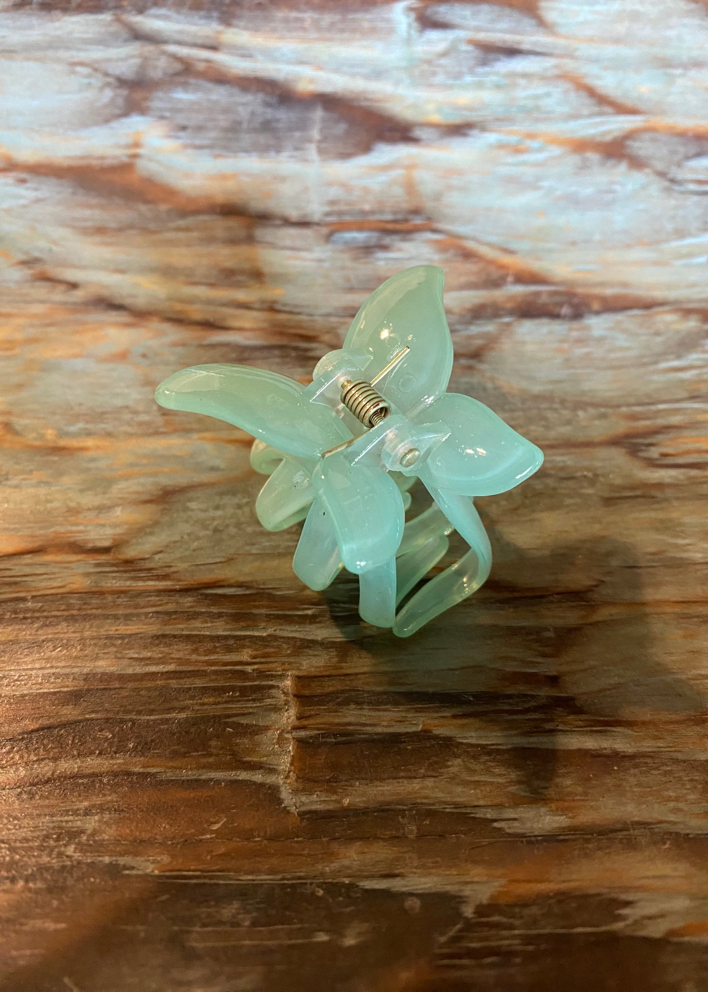 Butterfly Claw Clip