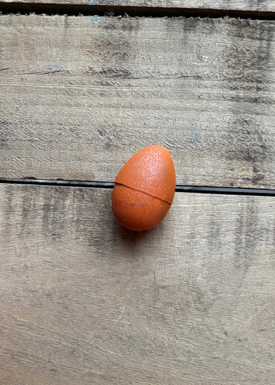 Growing Animal Egg Toy
