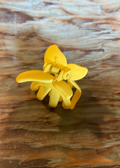 Butterfly Claw Clip